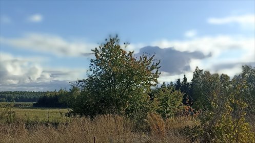 działka na sprzedaż 1003m2 działka Osówiec