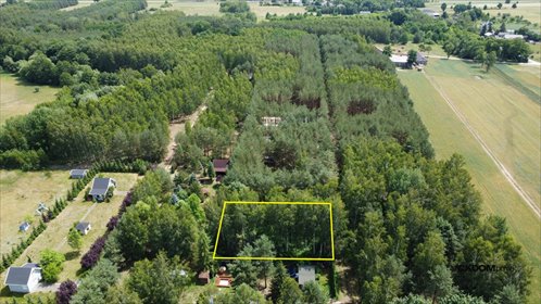 Działka 1000 m² w Młódnicach (las, warunki zabudowy) działka Młódnice