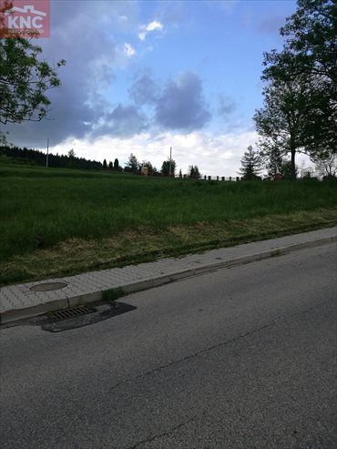 Działka budowlana na sprzedaż Hucisko 2 300m2 Foto 2
