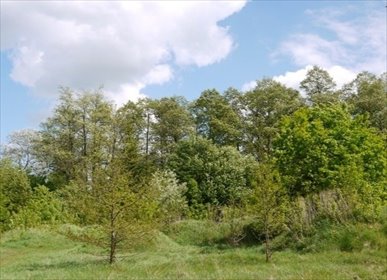 działka na sprzedaż 9561m2 działka Konstancin-Jeziorna