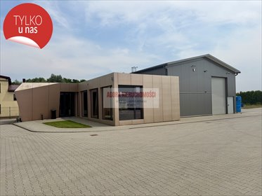 Wynajmę plac, biuro i magazyn w Balicach - od zaraz lokal użytkowy Balice