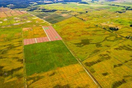 działka na sprzedaż 362m2 działka Władysławowo, Kompleks działek tuż przy morzu