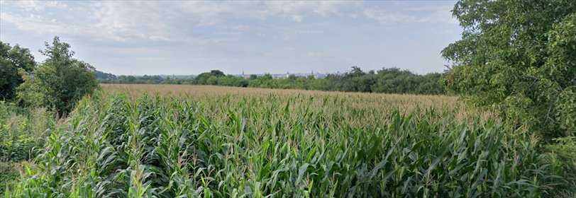 działka na sprzedaż 810m2 działka Kalisz, Chmielnik