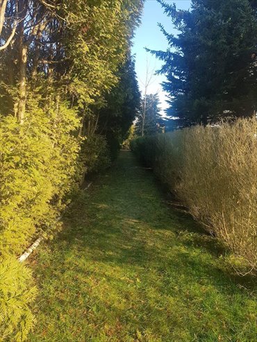 działka na sprzedaż 1345m2 działka Zakręt