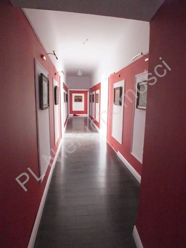 Dom na sprzedaż Drwalew 3 500m2 Foto 3