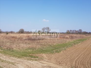 Do sprzedania działka 21 500 m² pod zabudowę w Wilanowie działka Warszawa, Wilanów, Powsin