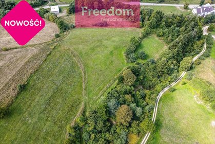 Działka rekreacyjna na sprzedaż Huta Brzuska 6 700m2 Foto 6