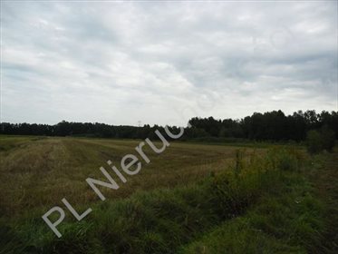 Działka rolna na sprzedaż Wólka-Konstancja 25 520m2 Foto 7