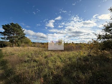 działka na sprzedaż 10400m2 działka Gryfino