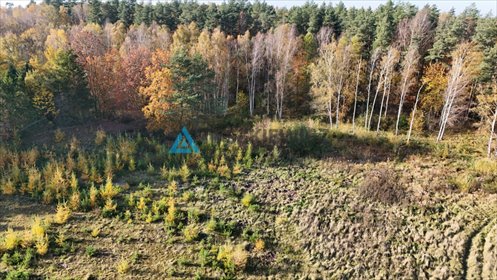 działka na sprzedaż 6772m2 działka Otomin, Borówkowa