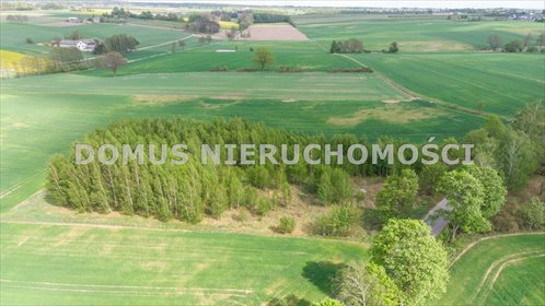 Działka 671 m² z warunkami zabudowy w Olszy zapraszam działka Olsza