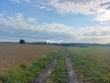 działka na sprzedaż 3113m2 działka Stare Kiejkuty