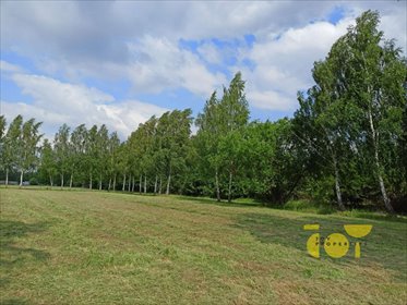 Działka budowlana na sprzedaż Słomczyn, Wilanowska 3 058m2 Foto 6
