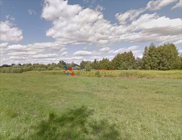 działka na sprzedaż 11500m2 działka Orzeszyn