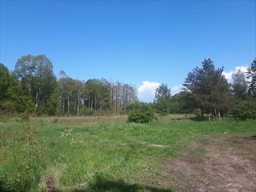 działka na sprzedaż 2700m2 działka Tanowo