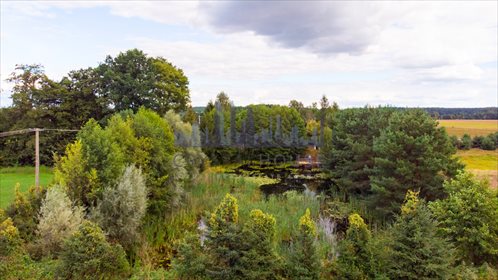 Dom na sprzedaż Żerań Mały 250m2 Foto 2