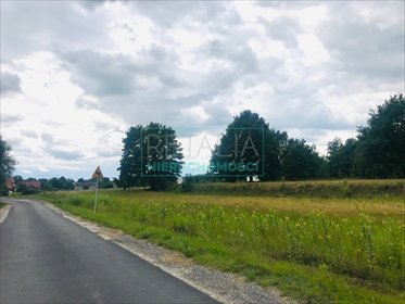 działka na sprzedaż 1950m2 działka Powązki