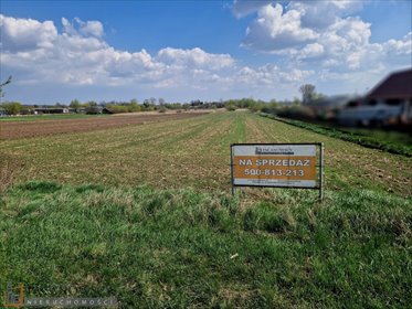 Działka przemysłowo-usługowa 99,75 ara, linia wojewódzka działka Opatkowice