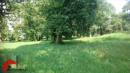 Zapraszam do obejrzenia działki 1967 m² z projektem domu w Kalinowicach działka Kalinowice