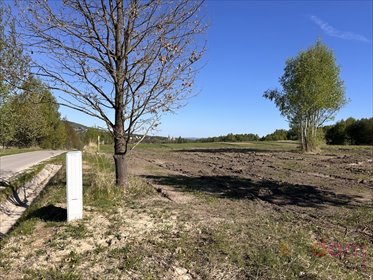 Działka 1542m² pod zabudowę z prądem, dojazd asfaltowy działka Masłów Pierwszy