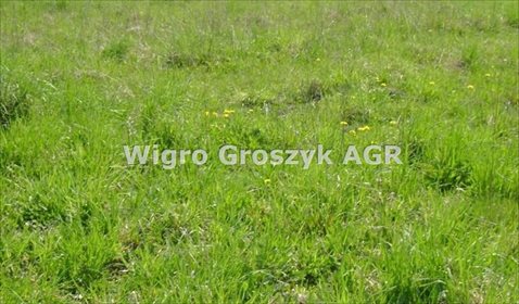 działka na sprzedaż 12438m2 działka Strojec