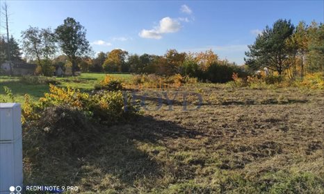 działka na sprzedaż 1000m2 działka Żółwin, Południowa