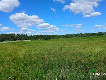 działka na sprzedaż 1000m2 działka Ciasne