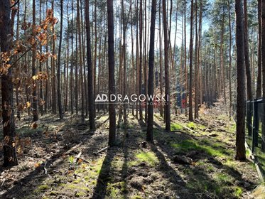 działka na sprzedaż 1561m2 działka Józefów