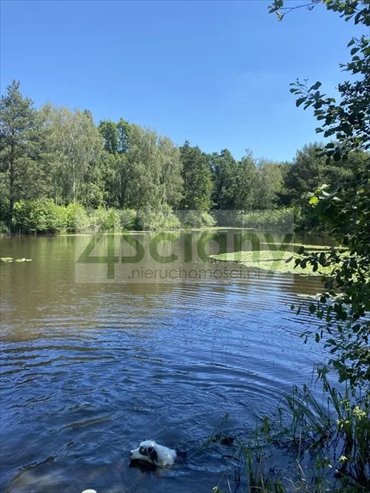 Polecam działkę z stawem i możliwością zabudowy 21 811 m² działka Janinów