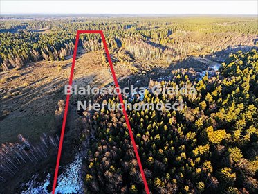 działka na sprzedaż 17200m2 działka Dobrzyniówka