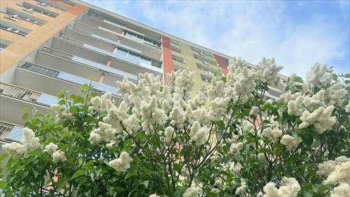 Wynajem 3-pokojowego mieszkania na Wyżynach, pełne umeblowanie mieszkanie Bydgoszcz, Wyżyny
