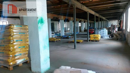 Magazyn na sprzedaż Kosztowo 860m2 Foto 5