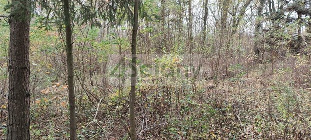 Sprzedam działkę 1500 m² z lasem, prąd, dojazd asfaltowy działka Ojrzanów