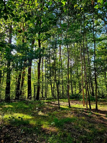 działka na sprzedaż 840m2 działka Duchnów