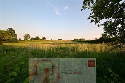 działka na sprzedaż 5400m2 działka Panieńszczyzna