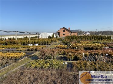 Dom na sprzedaż Kotlice Nowe, Kotlice Nowe 144m2 Foto 3