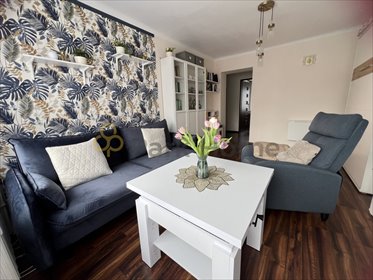 mieszkanie na sprzedaż 48m2 mieszkanie Zielona Góra