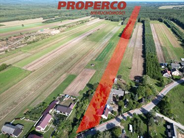 Na sprzedaż działka 25 240 m² z lasem i altaną w Osiny działka Osiny