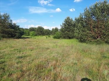 Działka budowlana na sprzedaż Wójcice, Jelcz-Laskowice 61 612m2 Foto 2