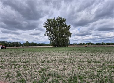 Działka inwestycyjna 8683 m² w Warszawie, Ursynów działka Warszawa, Sporna