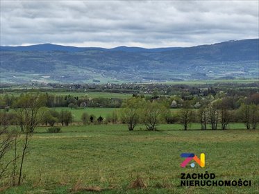 działka na sprzedaż 4800m2 działka Jaworek