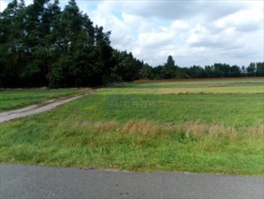 Dankowice, 13 644 m2 działka Dankowice