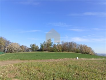 Działka 1400 m² wśród natury, blisko centrum Bielawy działka Bielawa