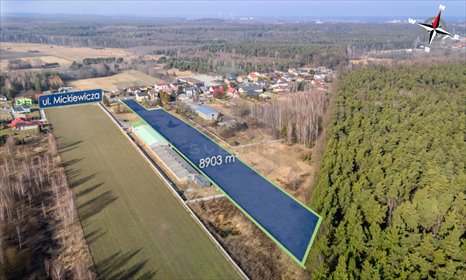 działka na sprzedaż 8903m2 działka Wręczyca Wielka, Adama Mickiewicza