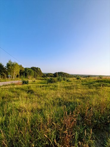 działka na sprzedaż 5673m2 działka Maks