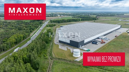 Wynajmę moduł magazynowy 4500 m² z biurem w Dobrzykowicach lokal użytkowy Dobrzykowice