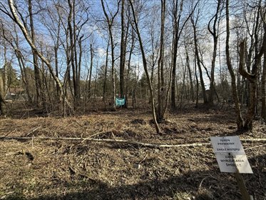 działka na sprzedaż 1437m2 działka Rydzynki, Żabia