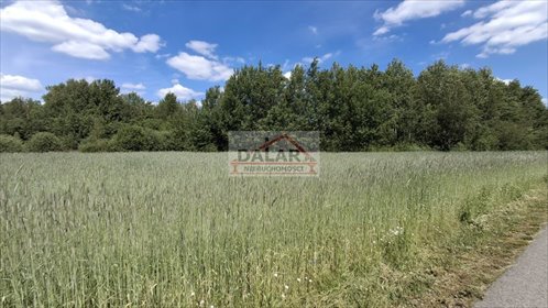 działka na sprzedaż 3244m2 działka Henryków