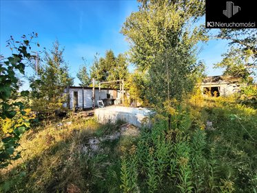 działka na sprzedaż 4700m2 działka Rozalin