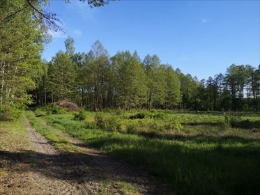 działka na sprzedaż 36100m2 działka Karwica